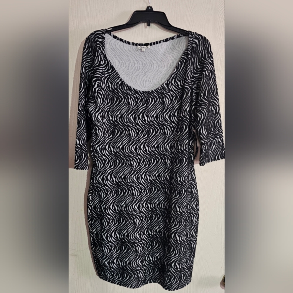 Womens Charlotte Russe Dress